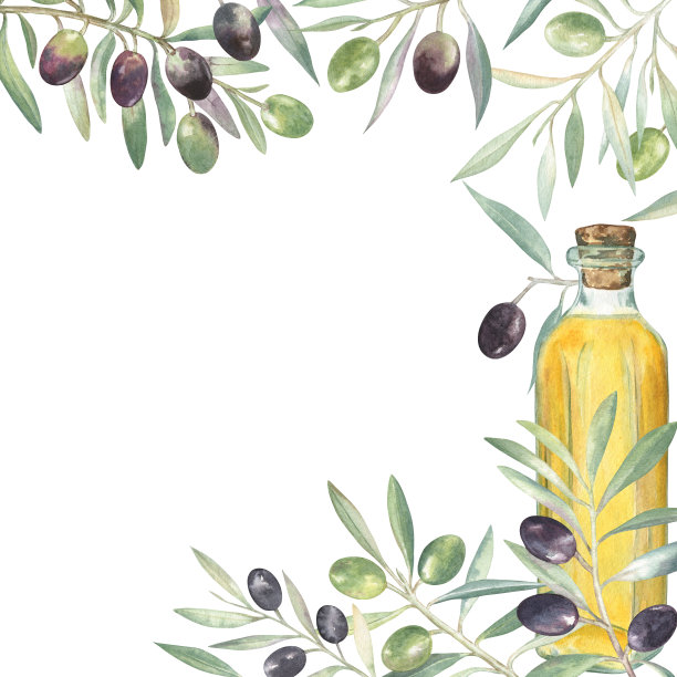 橄榄油海报图片