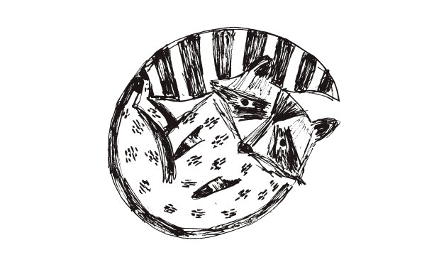 幼儿园logo设计图