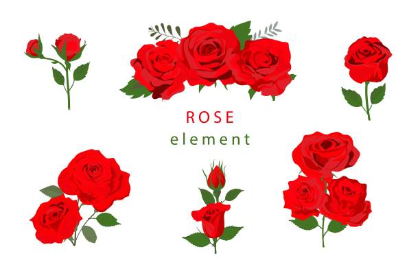 粉色创意玫瑰花海报背景