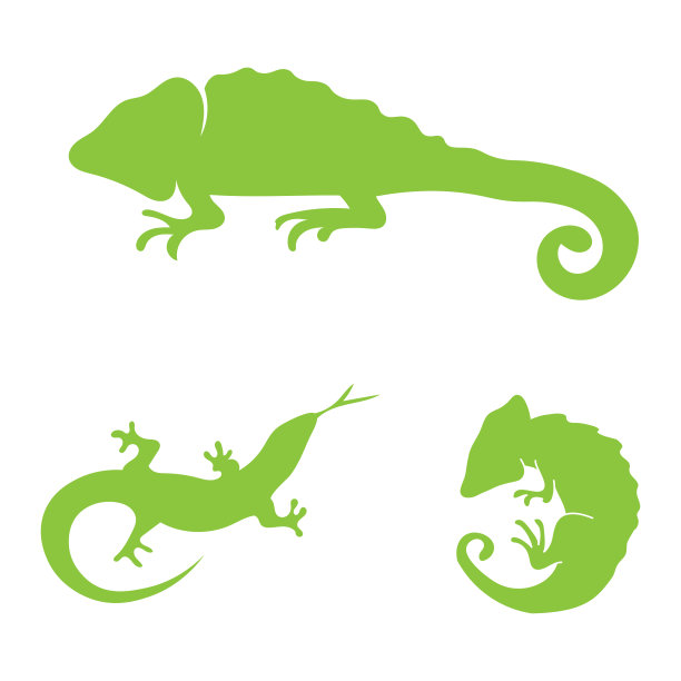 动物变色龙logo