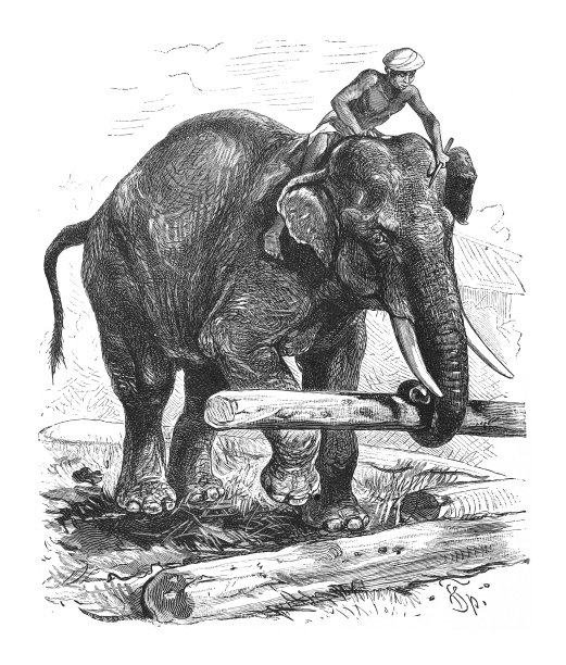 大象精雕图