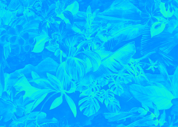 水彩热带植物元素