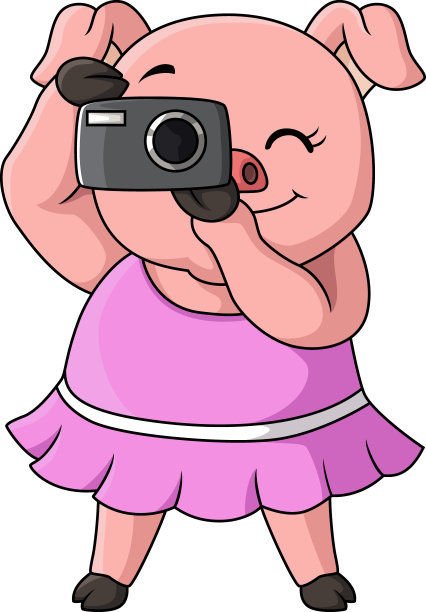 数码卡通猪猪