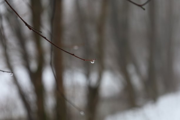 立冬大雪小寒雨水