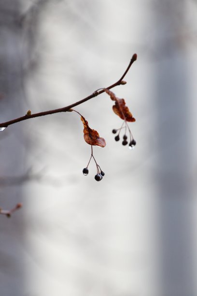 立冬大雪小寒雨水