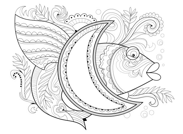 黑白手绘图 鱼