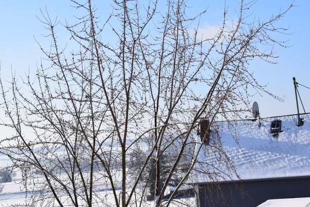 冬季大雪房屋矢量场景