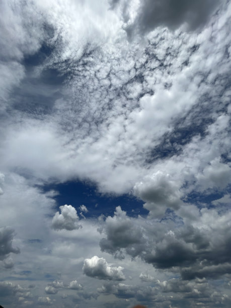 烟雨中