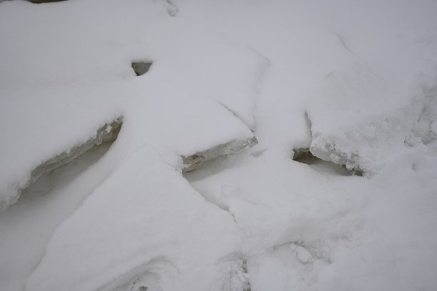 雪花波浪