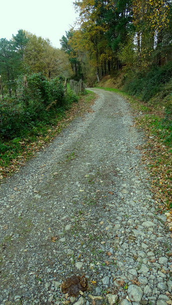 秋天登山森林道路