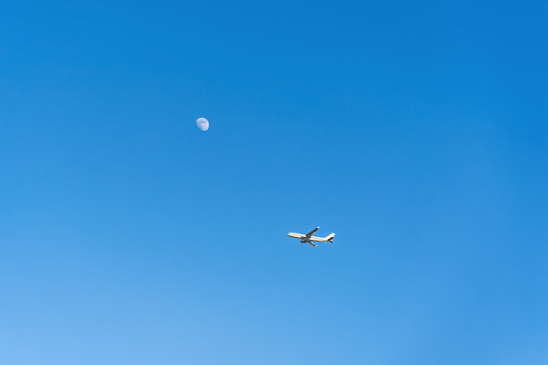 月亮与海鸥