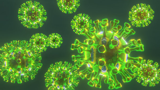 新型冠状病毒细胞