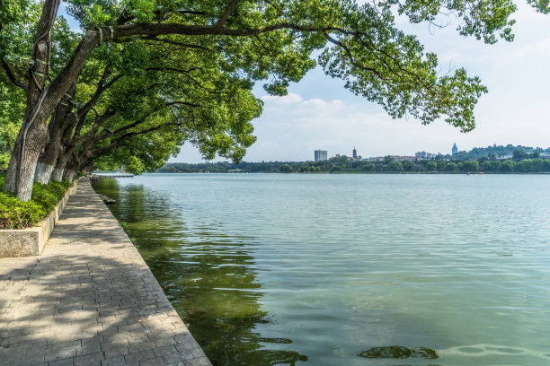 湖景 地产 广告