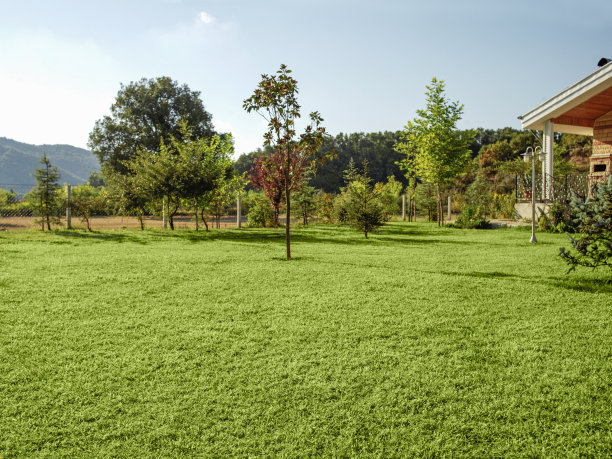 山水庭院别墅景观绿化