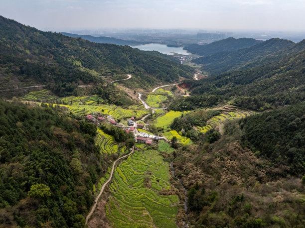 春天乡村旅游油菜花风景油菜花田