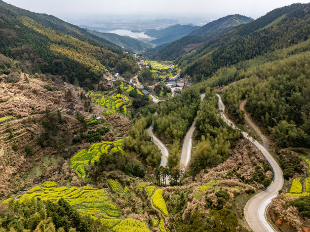 春天乡村旅游油菜花风景油菜花田