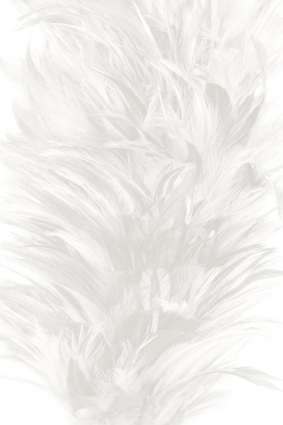 黑白动物毛皮纹理