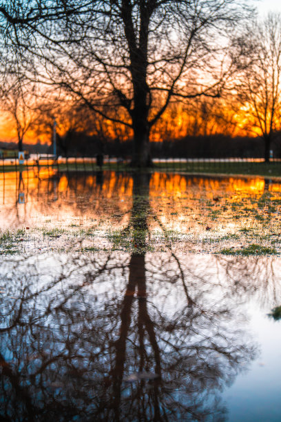 雨后的河边公园