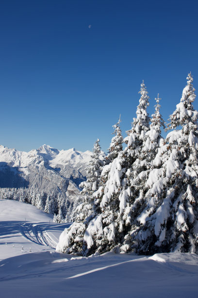 雪山星空风景山坡背景