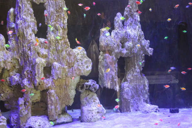神奇礁石