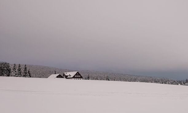 阴森林中小屋