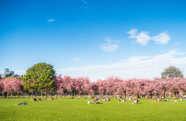 英国爱丁堡大学