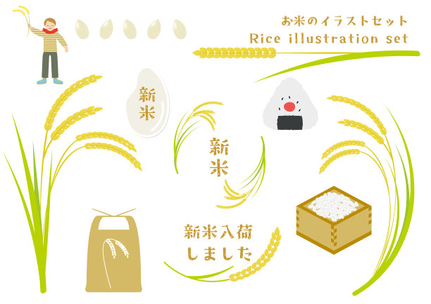 水稻名片
