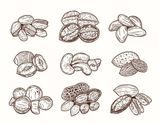 扁桃仁坚果零食卡通包装插画