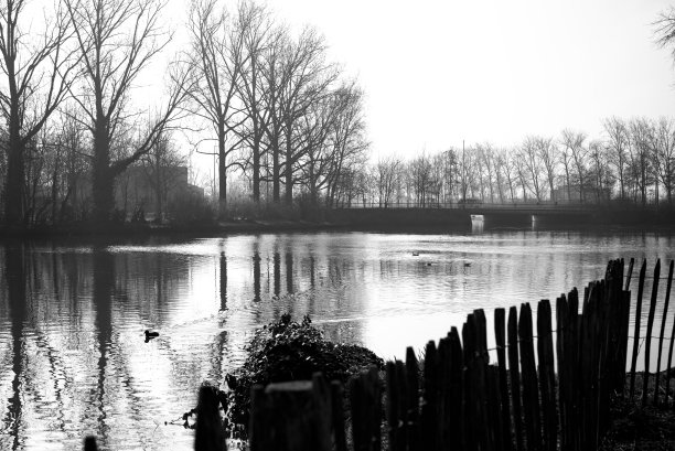 比利时黑白照片