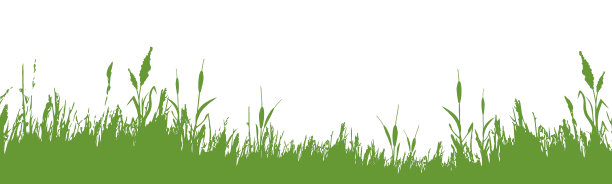 湿地公园logo