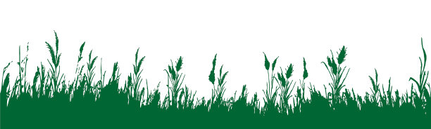 湿地公园logo