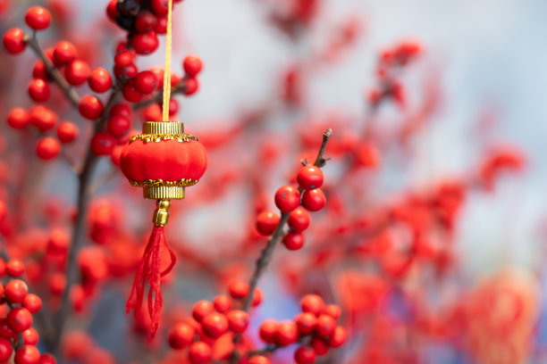 春节新年快乐灯笼设计