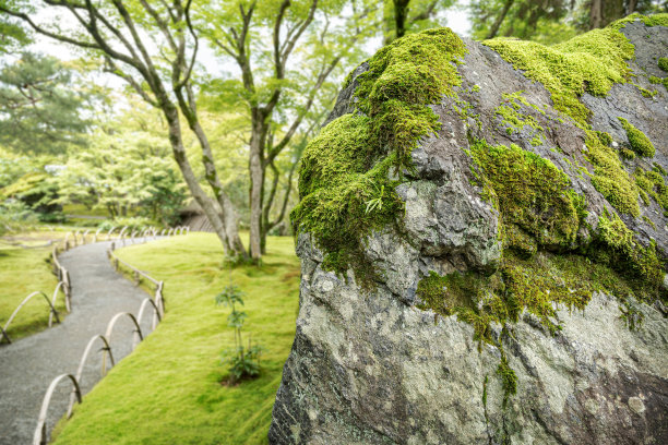 绿植景观与石子路