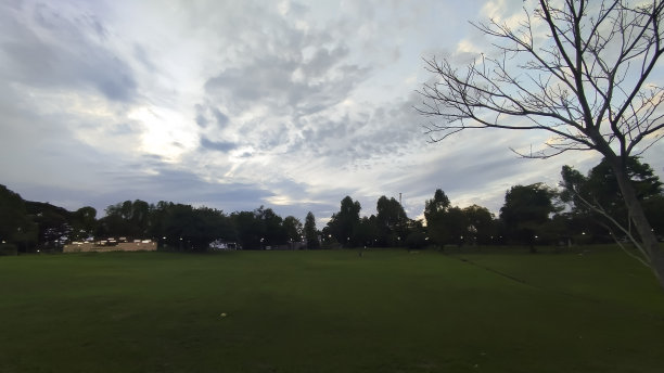 高尔夫球场景色摄影图