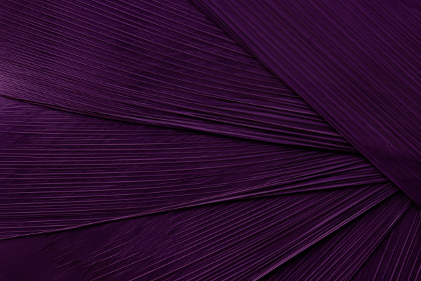 纹理效果,纹理,紫色背景