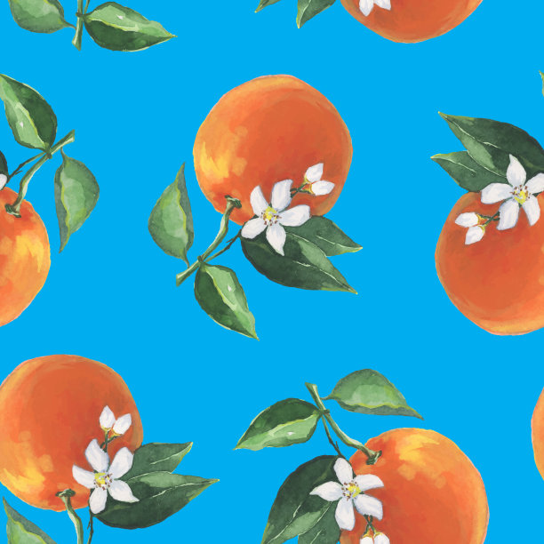 橙子树插画