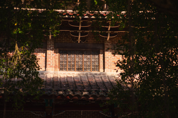 中式院墙的装饰窗格