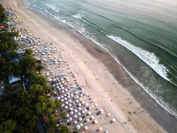 冲浪者 海岸 航拍 无人机