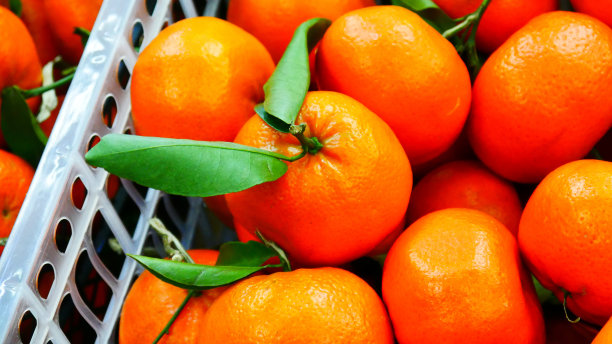 橘子水果精品包装盒