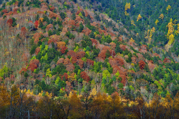 攀登雪山高峰图片