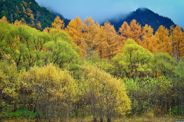 攀登雪山高峰图片