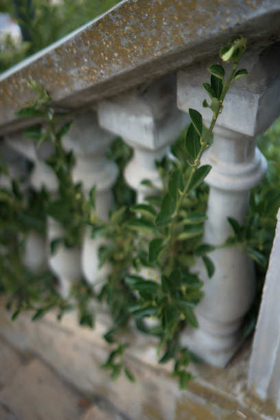 阳台植物架