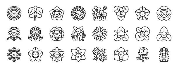 海棠花插图