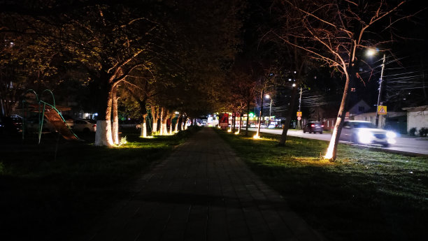 夜晚城市安静街道图片