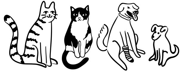 矢量卡通动物猫咪老虎插画设计