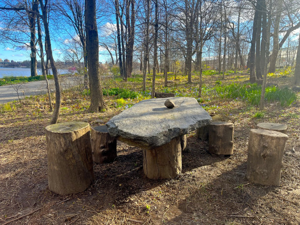 公园石桌