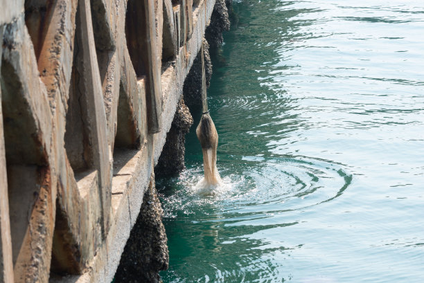 海鲜拼