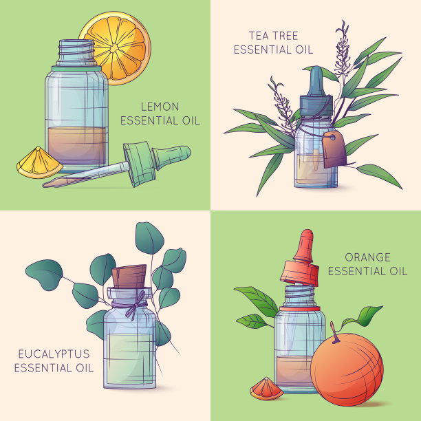 山茶油包装插画