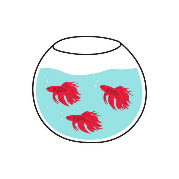 传统鱼缸