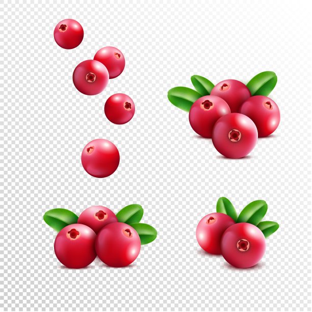 树莓包装盒插画